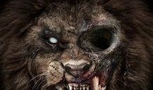 动物僵尸电影在线观看,惊悚盛宴，在线惊悚之旅